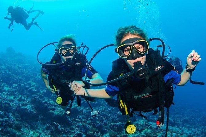 Two Dives for certified divers in Fujairah - Key points before you reserve