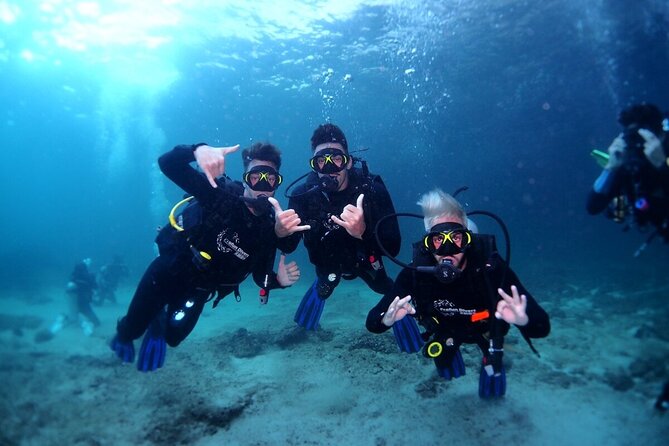Two Dives for certified divers in Fujairah - From a Dubai hotel to Fujairah by early morning