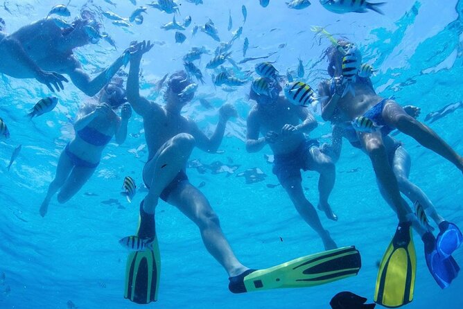 Two Dives for certified divers in Fujairah - Who will enjoy this Fujairah outing?