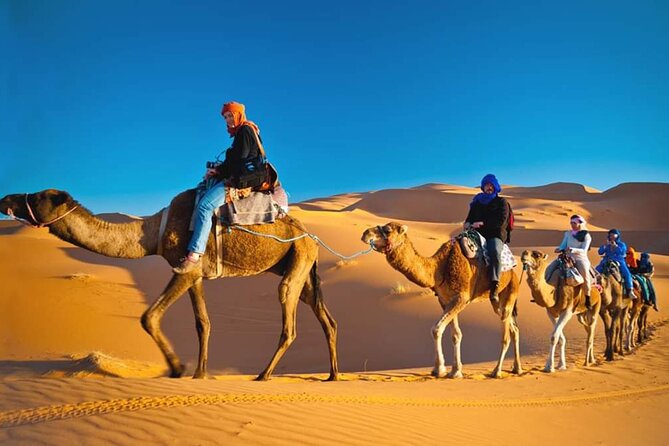 VIP Desert Safari Dubai - Camel riding, falcons, henna, and camp traditions