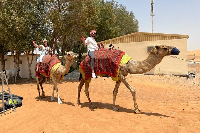 Vip Desert Safari Dubai with Camel Riding BBQ Dinner & Live Shows - Should you book this Dubai desert safari?