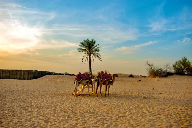 VIP Dubai Desert Safari Camel Ride, Sand Ski, Live BBQ Dinner - Sunset Photos and Sandboarding on the Dunes