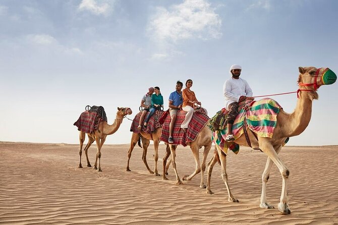 VIP Dubai Sunset Desert Safari: Camel Ride, BBQ, Unlimited Spirit - Camel riding and sandboarding at the camp