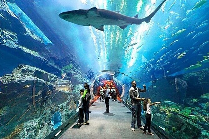 VIP Experience Dubai Aquarium & Underwater Zoo-As per Selection - How long the visit takes